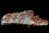 Natural, Red Quartz Crystal Cluster - Morocco #161091-1